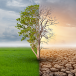 電力会社切り替えが「気候変動」を救う！今自分にできること