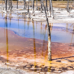 再生可能エネルギー導入で、酸性雨から地球を守ろう