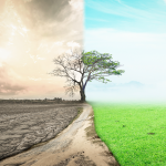 自然災害を少しでも減らすために、家庭でできる環境貢献とは？