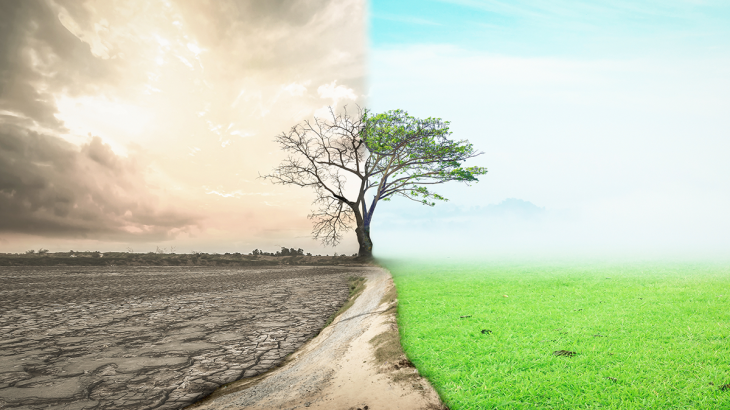 環境問題とは？