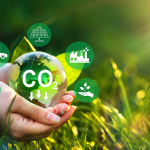 カーボンニュートラルとは？考え方を解説します