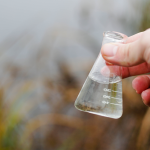 水質汚染の主な原因や現状は？環境問題に関心を持つわたしたちができること